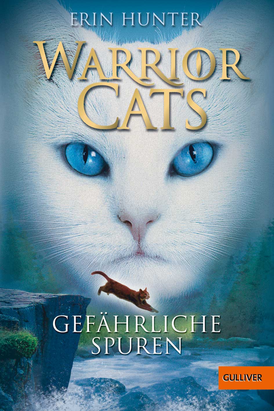 Warrior Cats Staffel 4 Band 6 Leseprobe Staffel I » Warrior Cats